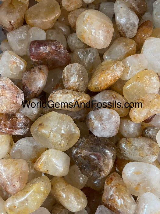 Golden Healer Tumbled Stones 1lb