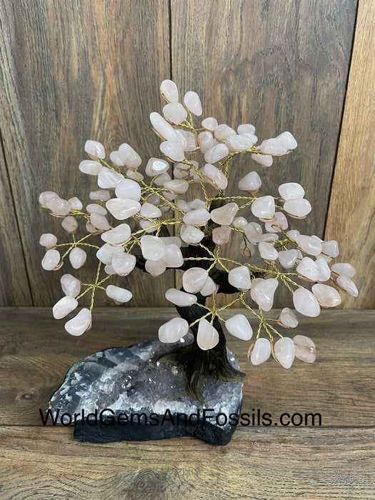 Rose Quartz Bonsai Tree On Amethyst Base #24