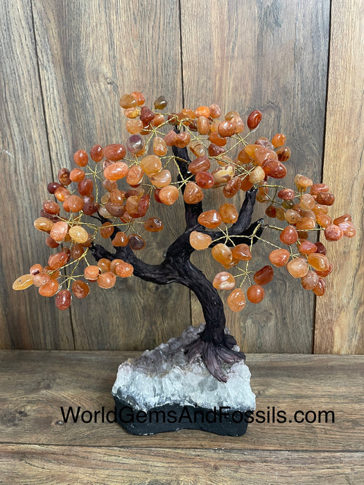 Carnelian Bonsai Tree On Amethyst Base #36