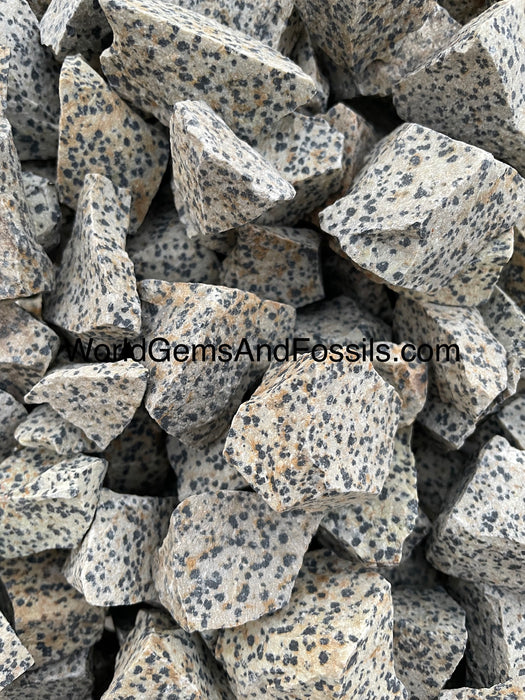 Dalmatian Rough Stone 1 lb