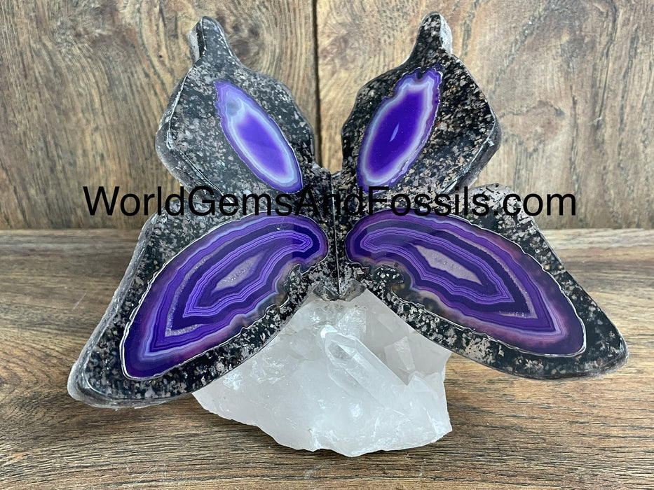 Purple Agate Butterfly On Quartz Base