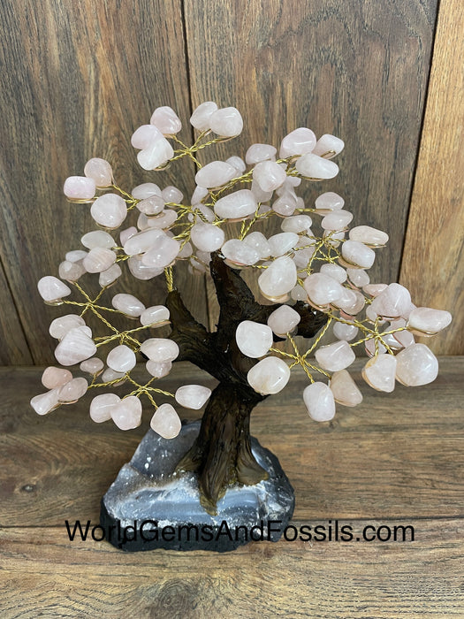 Rose Quartz Bonsai Tree On Amethyst Base #24