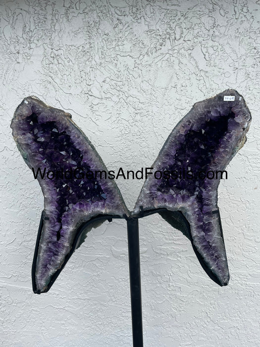 Amethyst Butterfly #5  59.5” x 30.5”