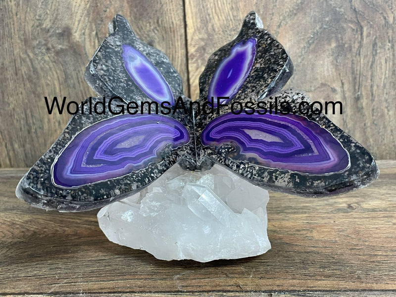 Purple Agate Butterfly On Quartz Base