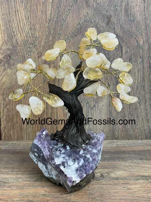 Citrine Bonsai Tree On Amethyst Base #7