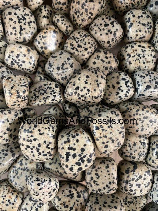 Dalmatian Jasper Tumble Stone 1lb