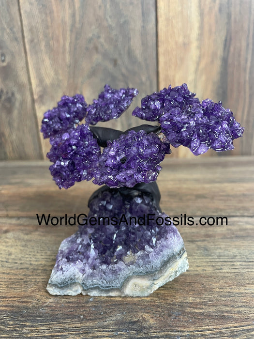 Amethyst Tree On Amethyst Base #2