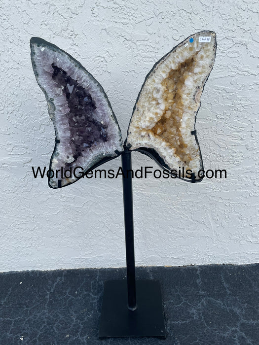 Amethyst Citrine Butterfly #4  47.5” x 21.5”