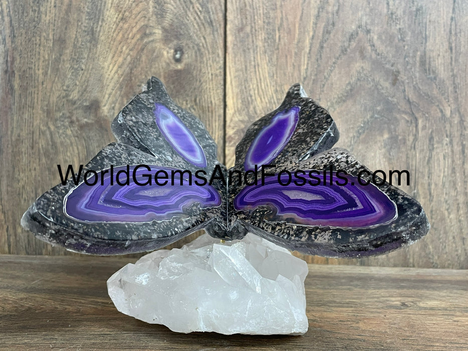 Purple Agate Butterfly On Quartz Base