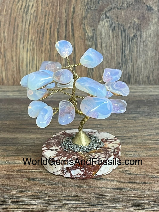 Opalite Gem Tree On Onyx Base