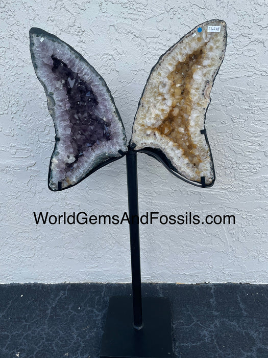 Amethyst Citrine Butterfly #4  47.5” x 21.5”