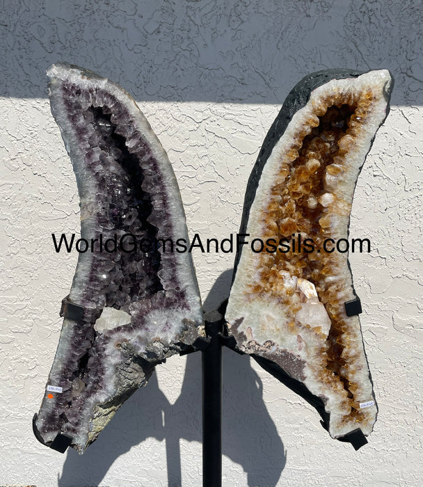 Amethyst Citrine Butterfly #14 59.5” x 33”