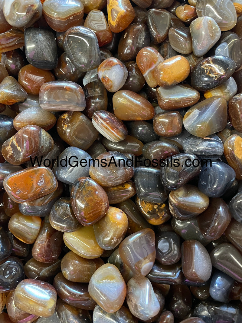 Natural Agate Tumbled Stones 1 lb