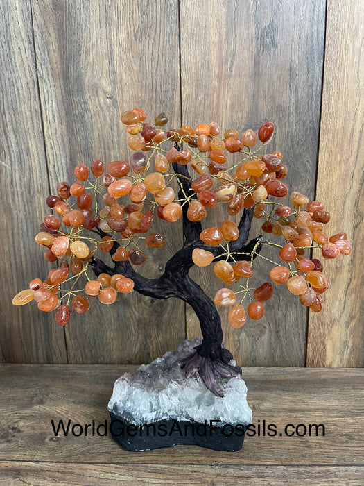 Carnelian Bonsai Tree On Amethyst Base #36