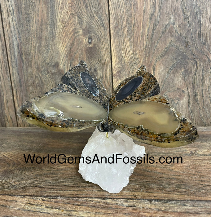 Brown Agate Butterfly On Quartz Base