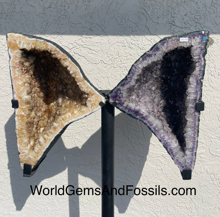 Amethyst Citrine Butterfly #8  58.5”  x 34.5”