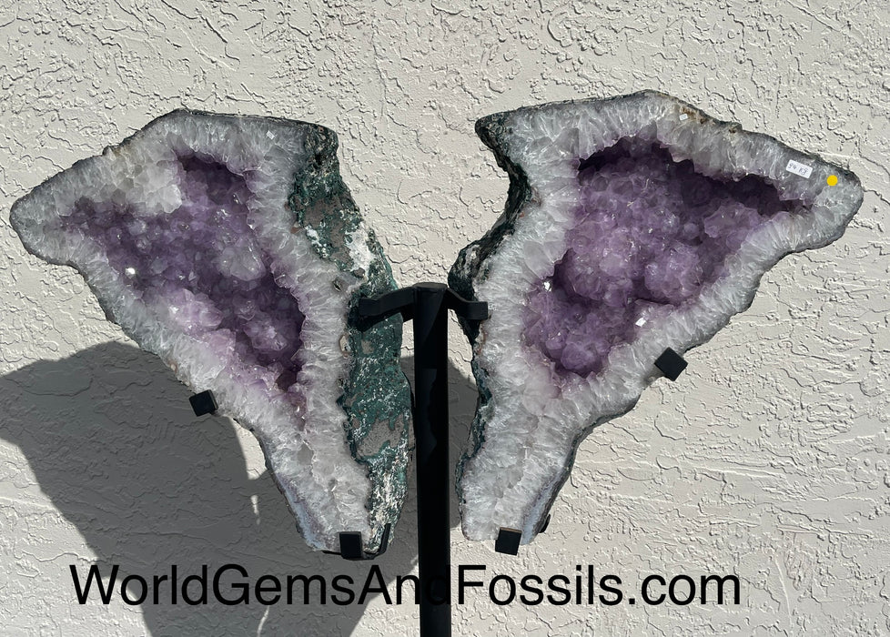 Amethyst Butterfly #1   48” x 43.5”