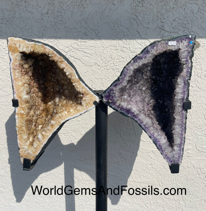 Amethyst Citrine Butterfly #8  58.5”  x 34.5”