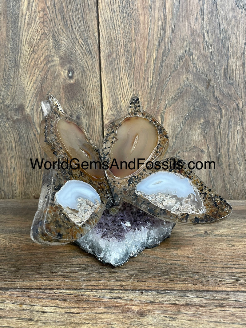Brown Agate Butterfly On Amethyst Base
