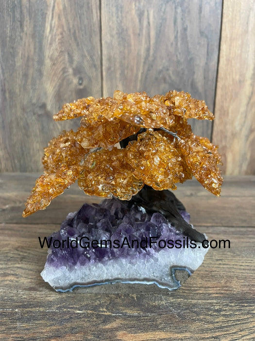 Citrine Tree On Amethyst Base #5