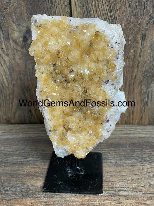 Citrine Specimen On Black Stand  5"  #11