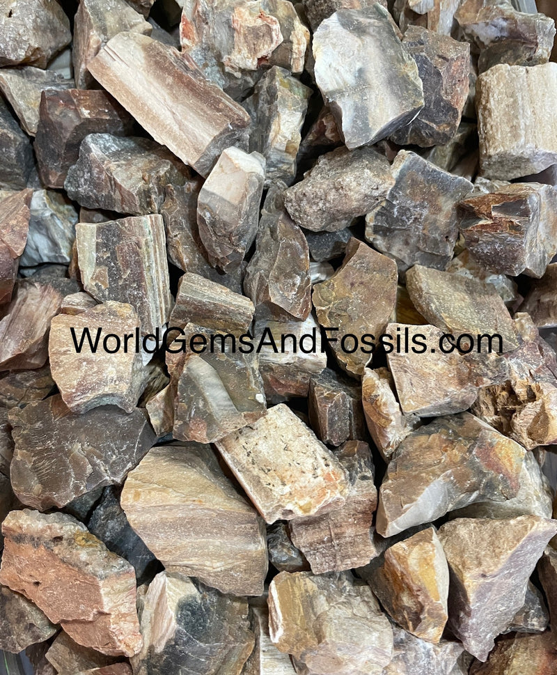 Petrified Wood Rough Stones 1 lb