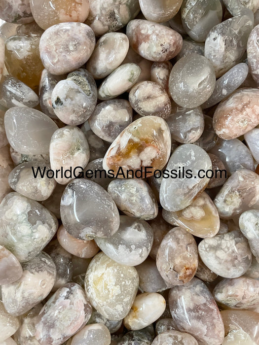 Flower Agate Tumbled Stone 1 lb