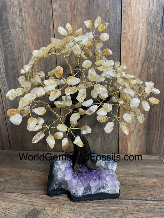 Citrine Bonsai Tree On Amethyst Base #36