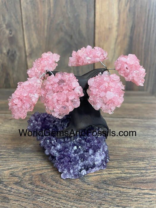 Rose Quartz Tree On Amethyst Base #2