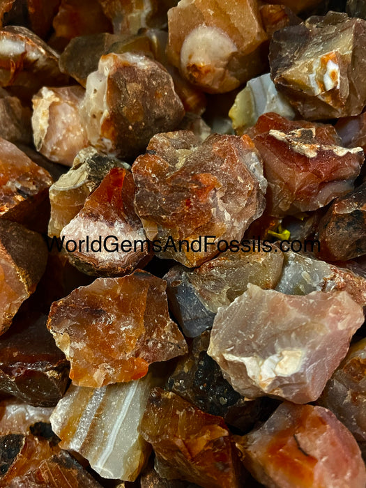 Carnelian Rough Stone 1 lb