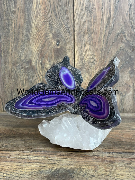 Purple Agate Butterfly On Quartz Base