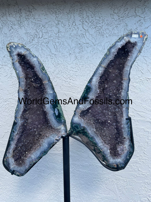 Amethyst Butterfly #9  65.5”  x 33”