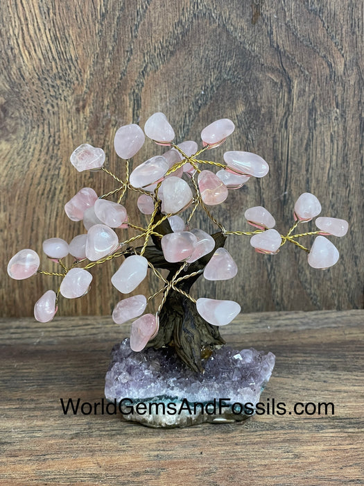 Rose Quartz Bonsai Tree On Amethyst Base #7