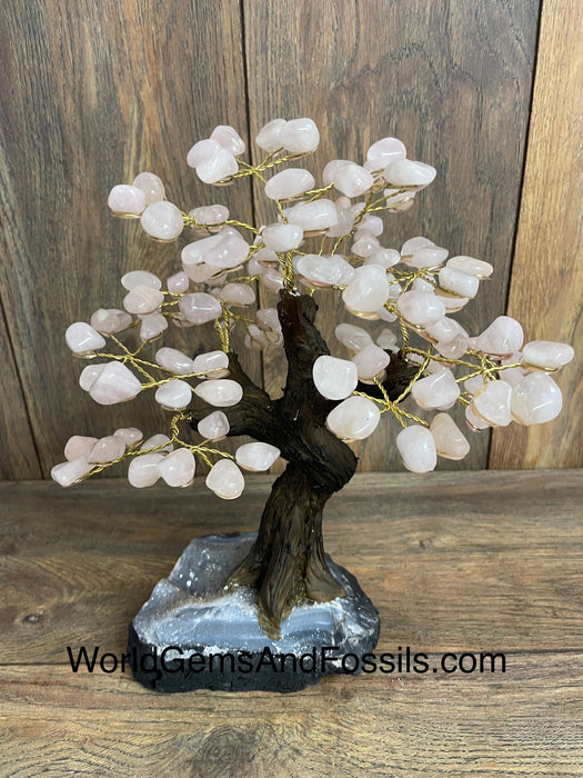 Rose Quartz Bonsai Tree On Amethyst Base #24