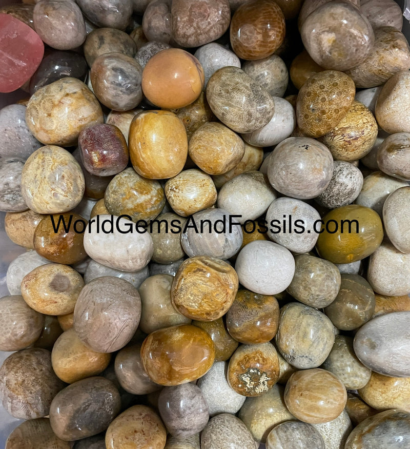 Coral Jade Tumble Stone 1lb