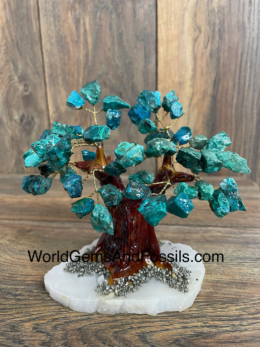 Chrysocolla Tree On Onyx Base 6”