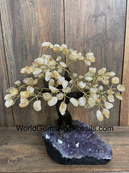 Citrine Bonsai Tree On Amethyst Base #24