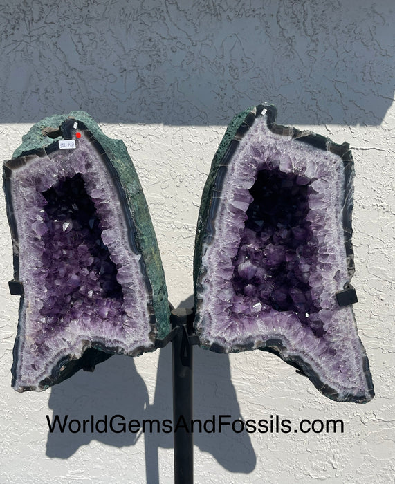 Amethyst Butterfly #11  57.5” x 34”