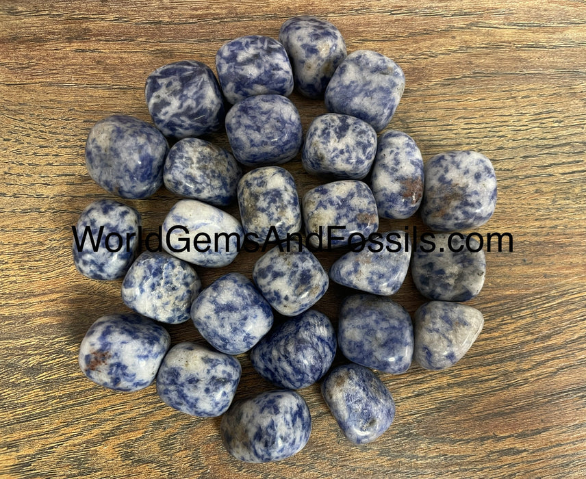 Blue Spotted Jasper Tumbled Stone 1lb