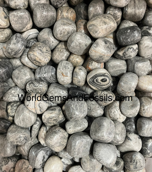 Map Stone Tumbled Stone 1 lb