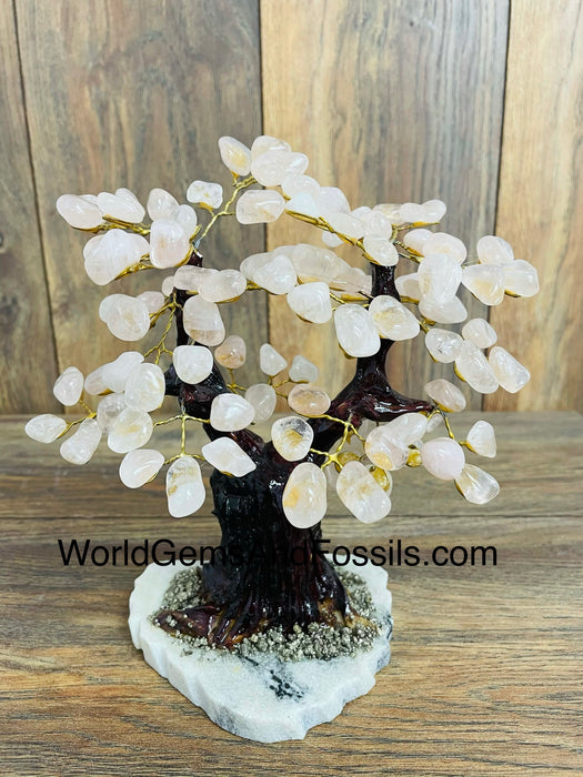 Rose Quartz Gem Tree On Onyx Base 8"