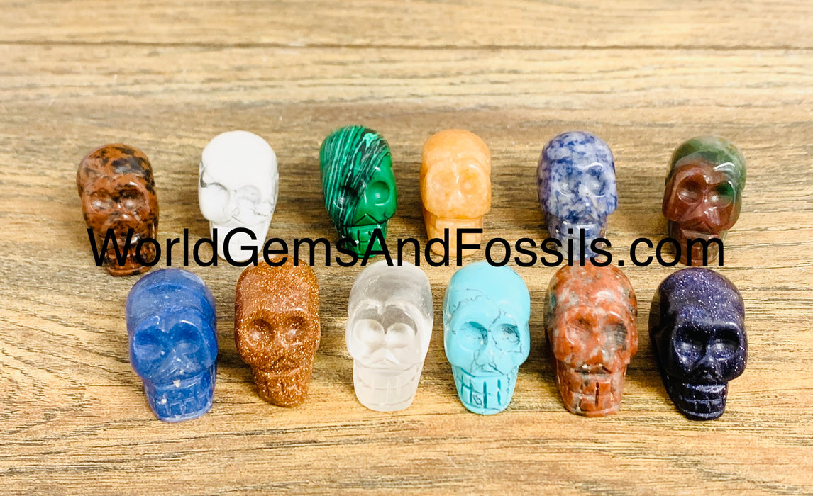 1" Mix Skulls Set 12 Pieces