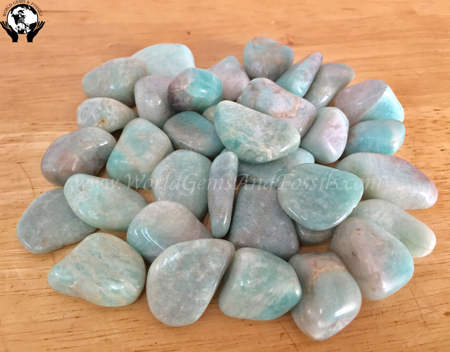 Amazonite Tumbled Stone 1lb