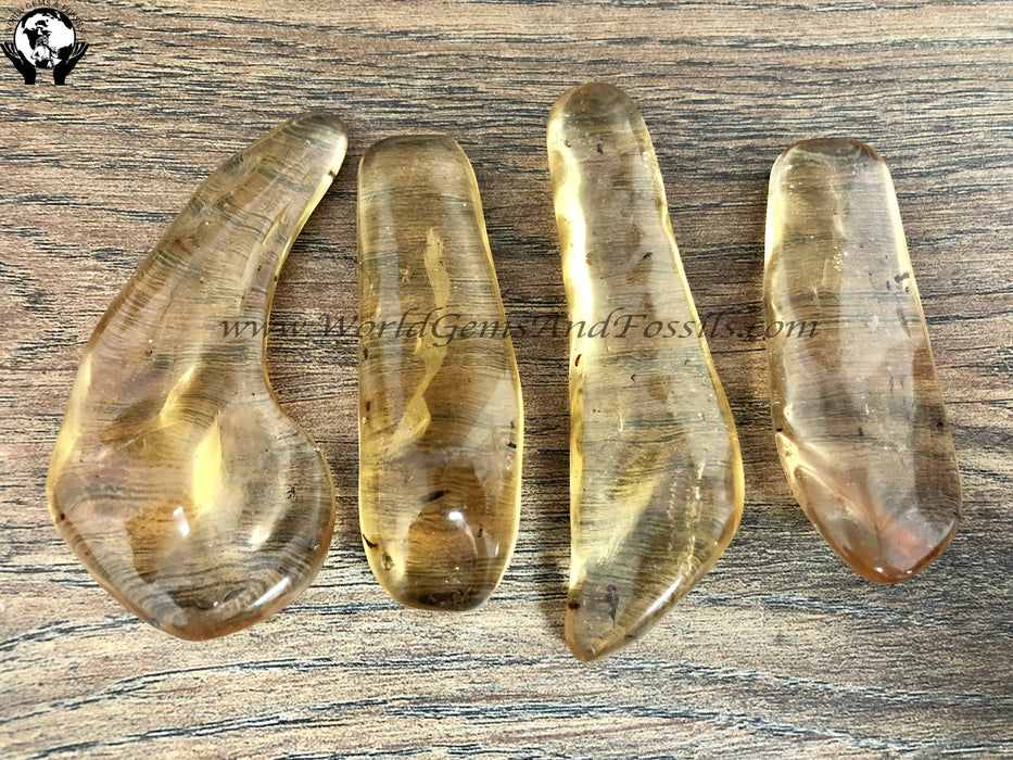 Amber Specimen