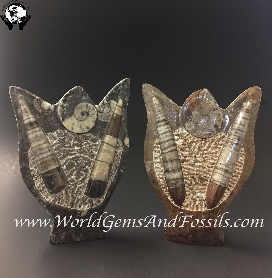 Ammonite Sculptures