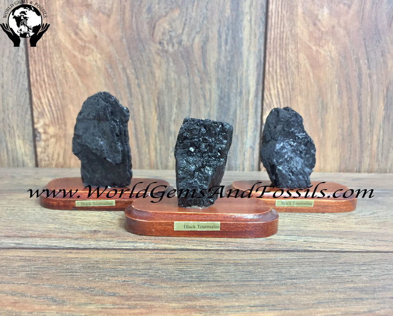 Black Tourmaline Specimen On Wood Base