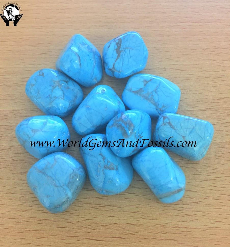Blue Howlite Tumbled Stone 1 lb