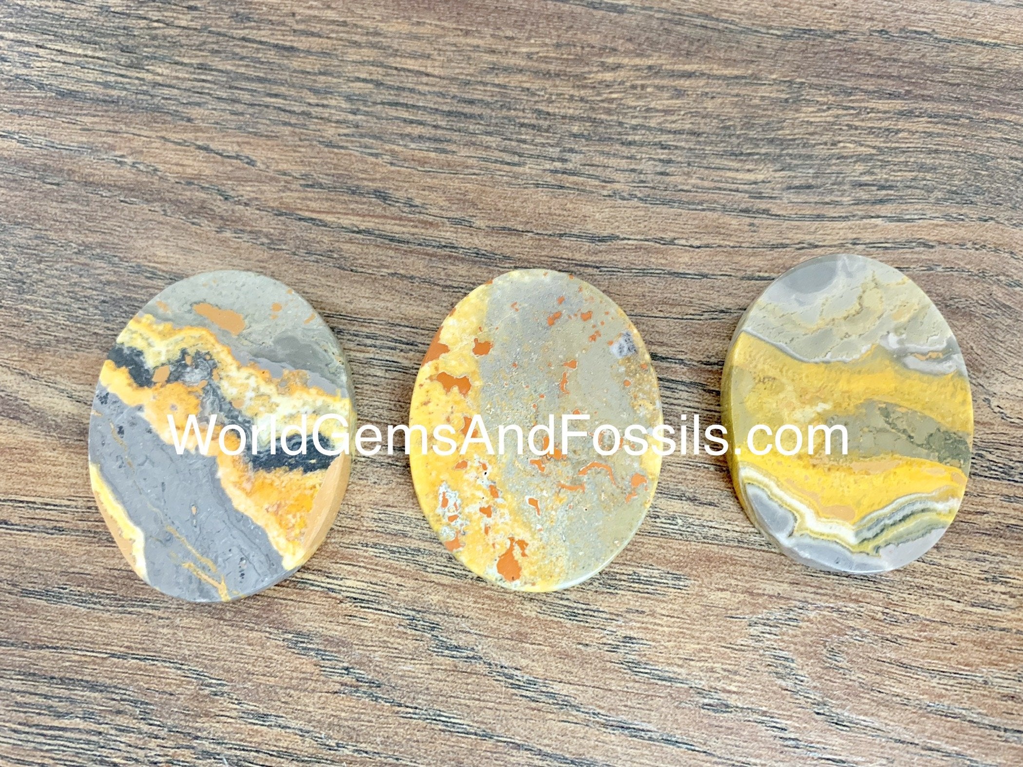 Bumble Bee Jasper Palm Stones