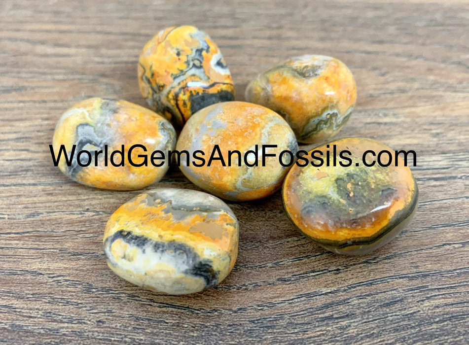 Bumble Bee Tumbled Stone 5pc