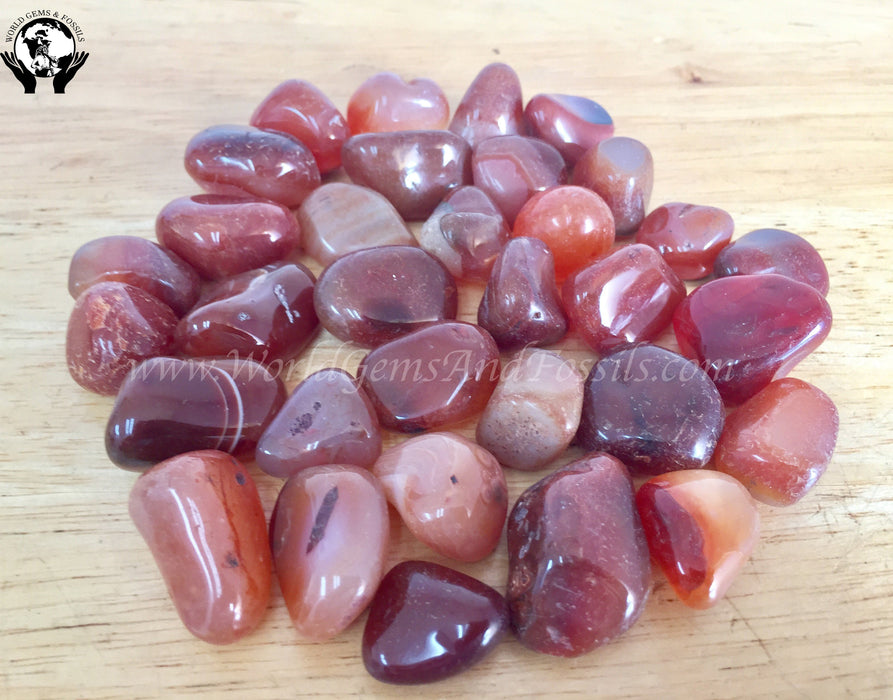 Carnelian Tumbled Stone 1lb